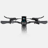 ENGWE L20 3.0 Pro